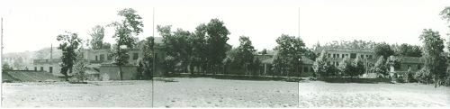 1946年