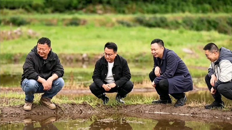 【个人简介】陶燎亮